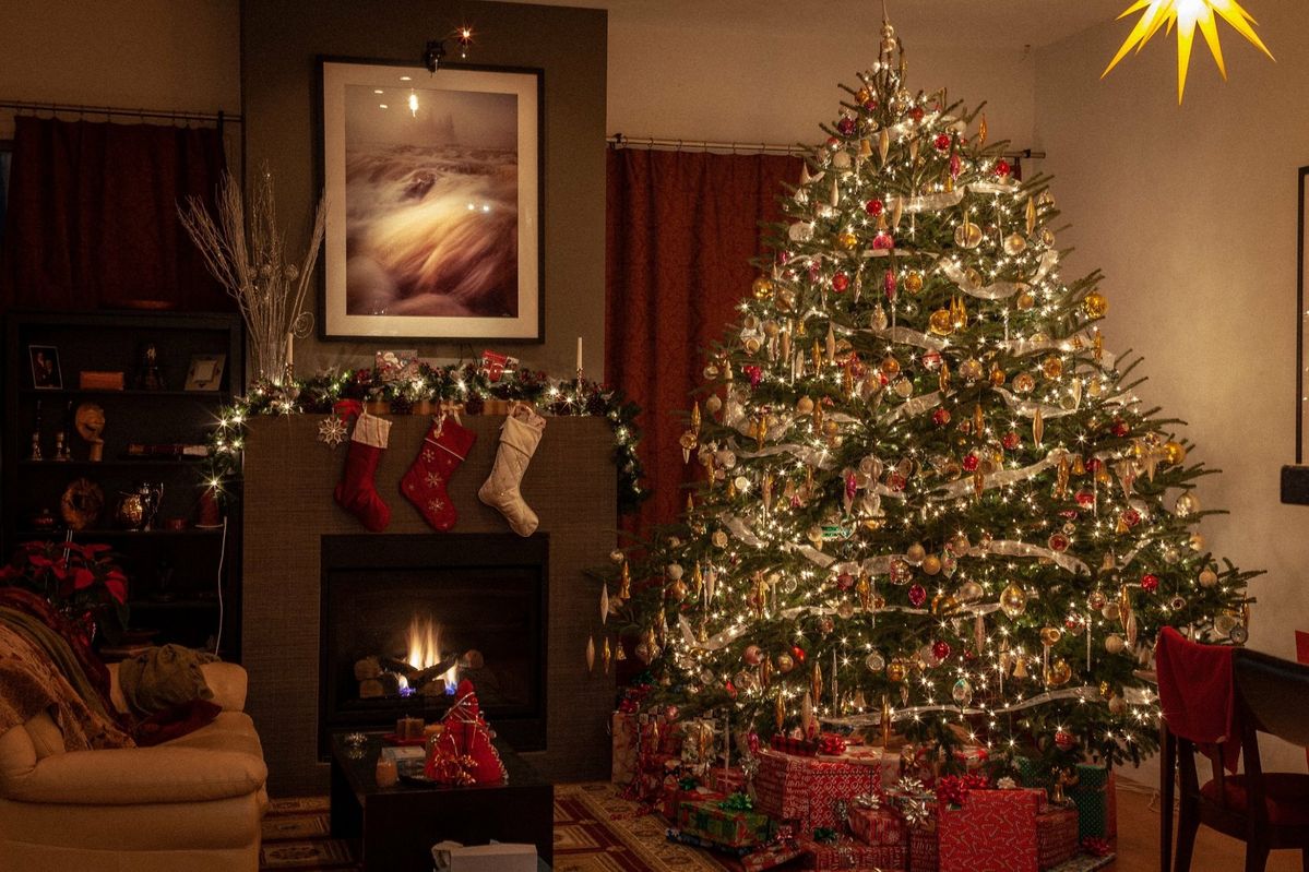 The Holiday Gift Guide