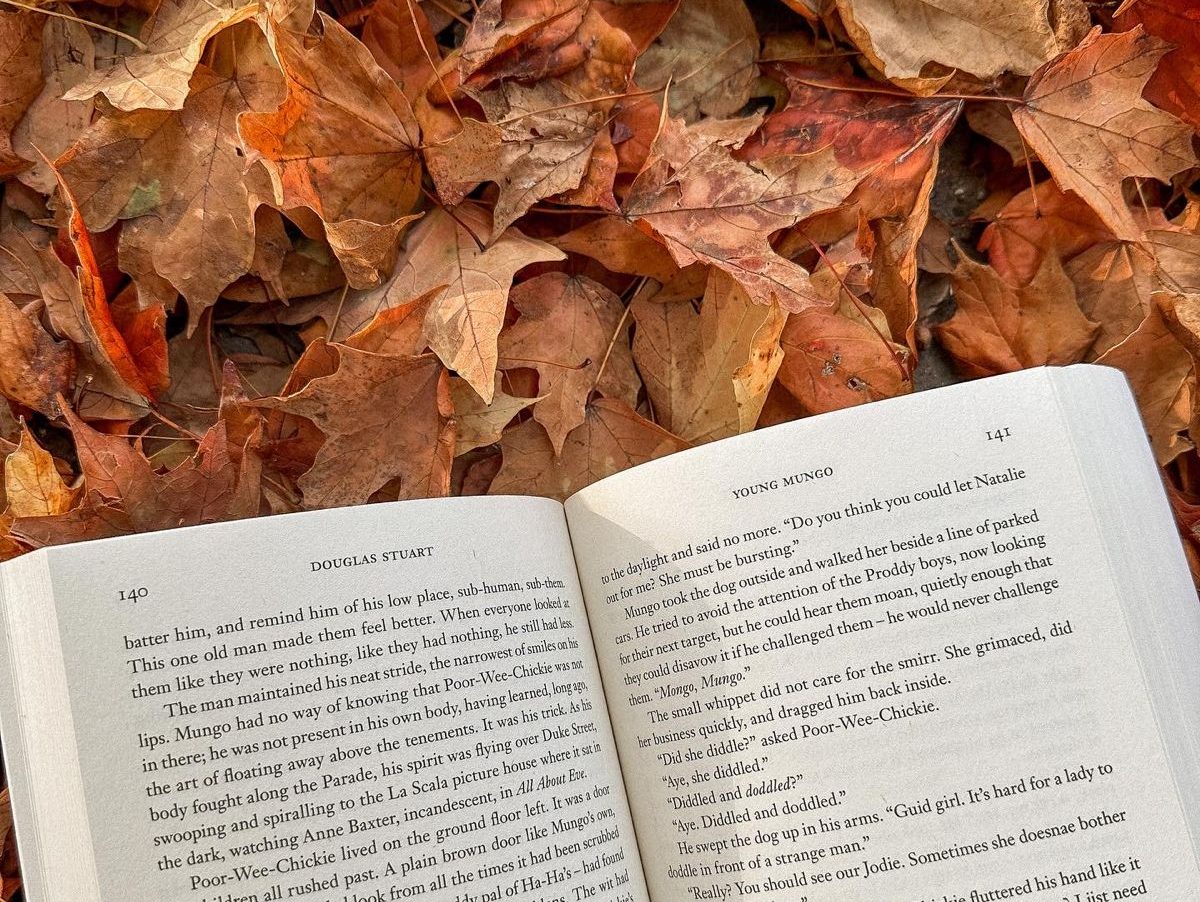 Fall into Fiction