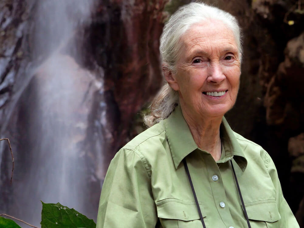 Jane Goodall near a waterfall in Gombe National Park, Tanzania
